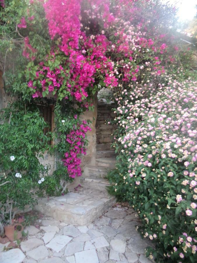 Oleander Stone House Villa Lemona Екстериор снимка